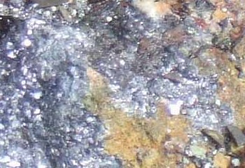 Lead-zinc Ore